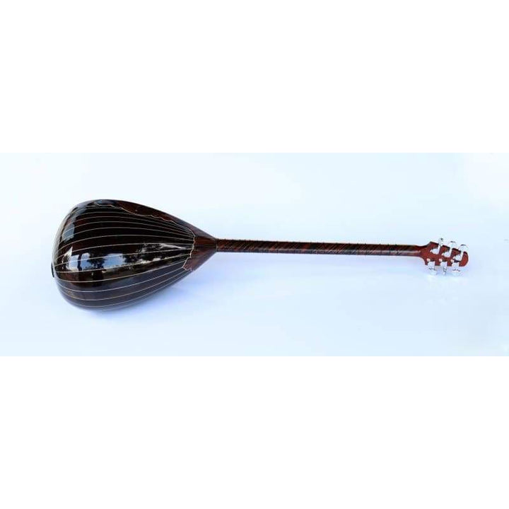 Sala spezielle Langhals-E-Saz SES-408G