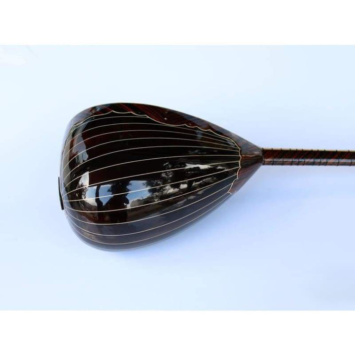 Sala spezielle Langhals-E-Saz SES-408G
