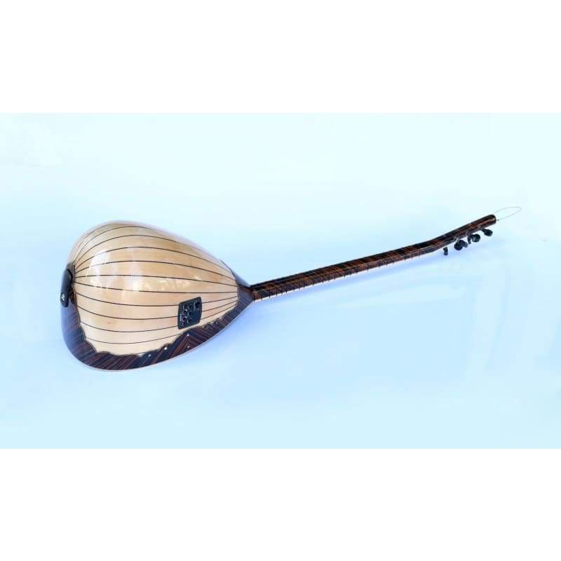 باغلاما كهربائي قيقب SES-203 من Sala