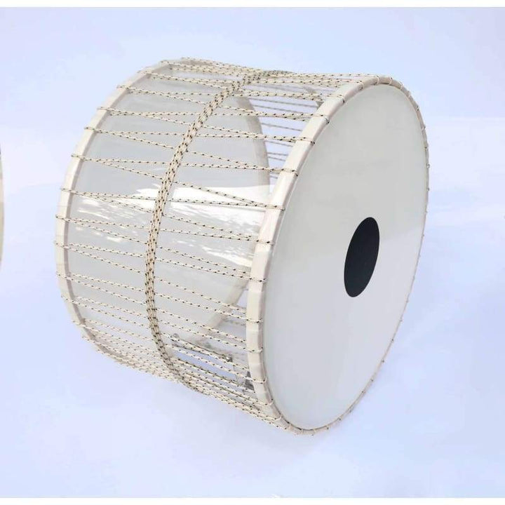 داوول حرفه‌ای Trir Music ED-303 با نور LED داخلی