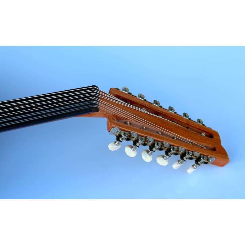 Sala Muzik Turkish Professional Electric Oud AOH-302G