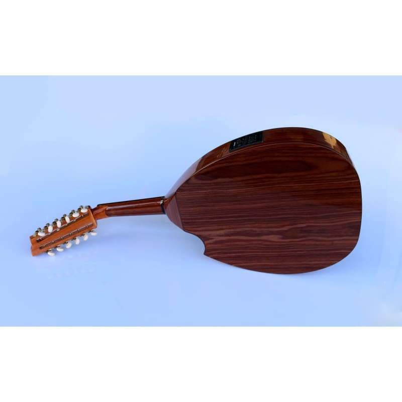 Sala Muzik Turkish Professional Electric Oud AOH-302G