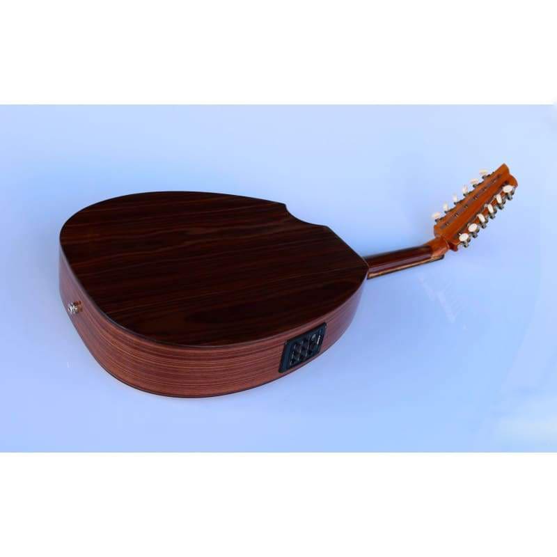 Sala Muzik Turkish Professional Electric Oud AOH-302G