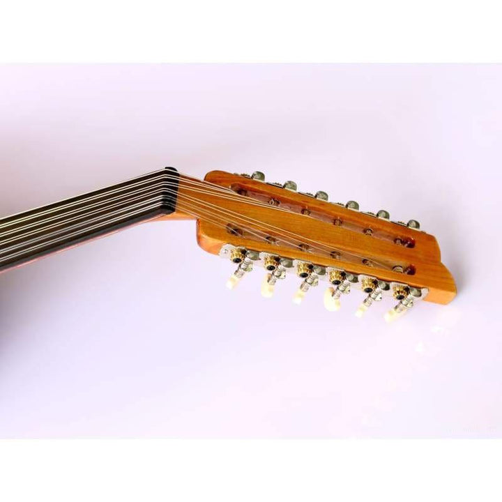عود الکتریک ترکی حرفه‌ای AOK-301G ساخت Sala Muzik