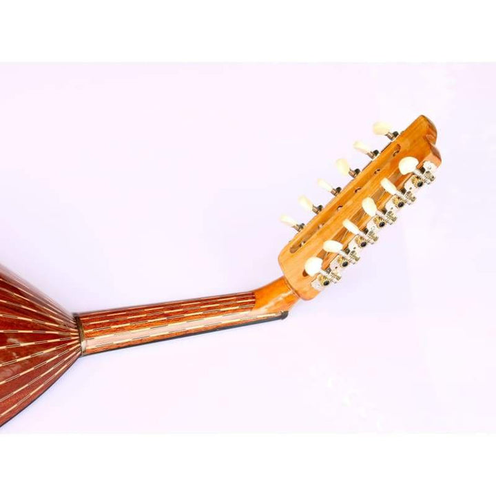 عود الکتریک ترکی ماهاگونی AOK-301G ساخت Sala