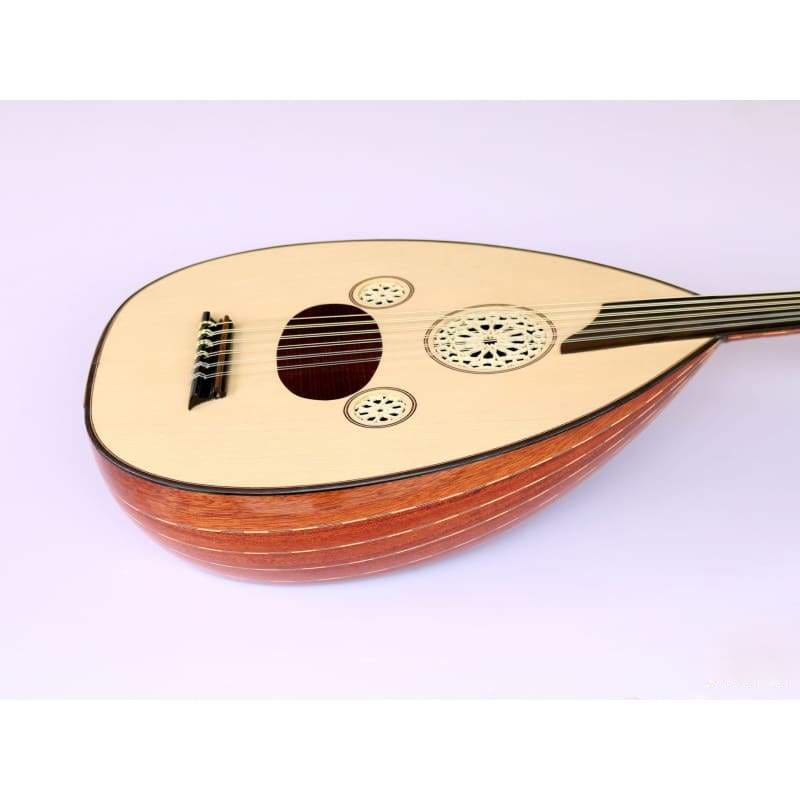 عود الکتریک AOK-301G ماهاگونی و صنوبر با خرک آبنوس ساخت Sala Muzik