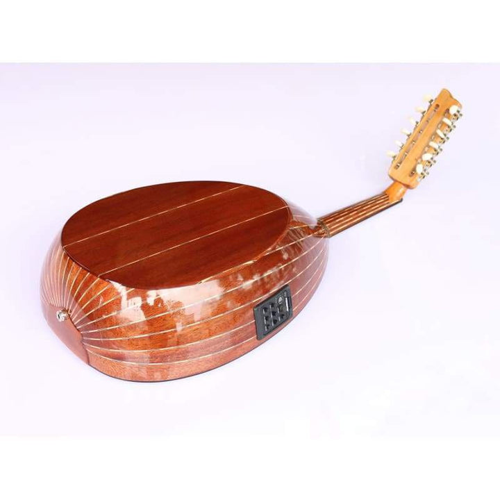 عود الکتریک ترکی AOK-301G ساخت Sala Muzik