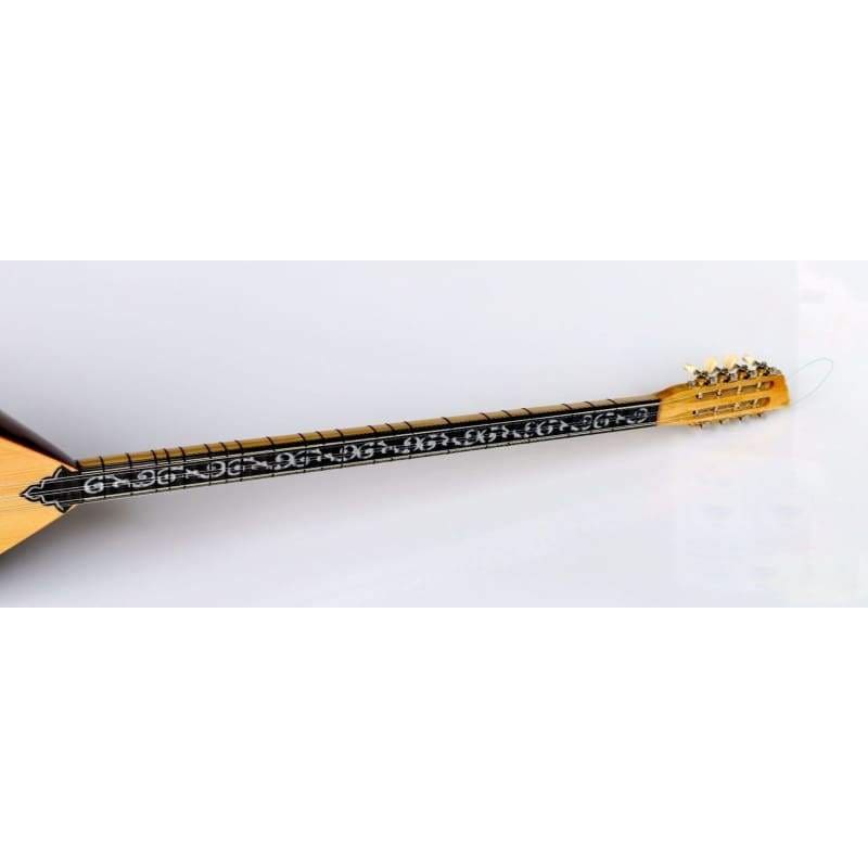 Sala uzun sap ceviz bağlama ASL-302GEQ ekolayzirlı